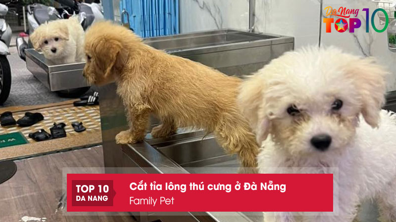 Family-pet-top10danang