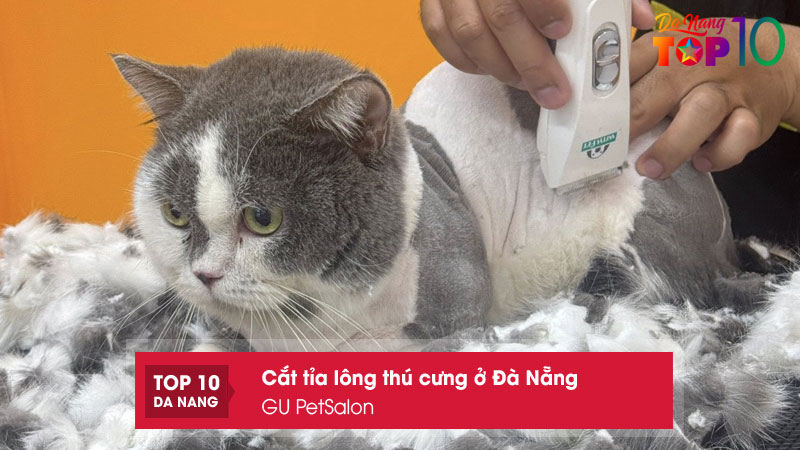 Gu-petsalon-top10danang