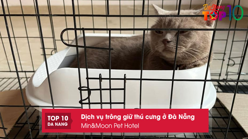 Minmoon-pet-hotel-top10danang