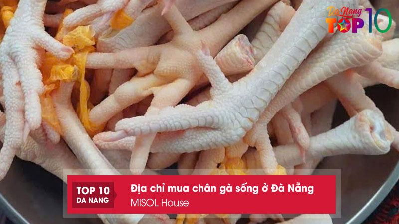 Misol-house-top10danang