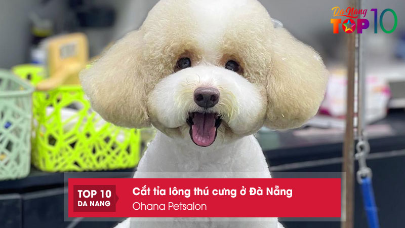 Ohana-petsalon-top10danang