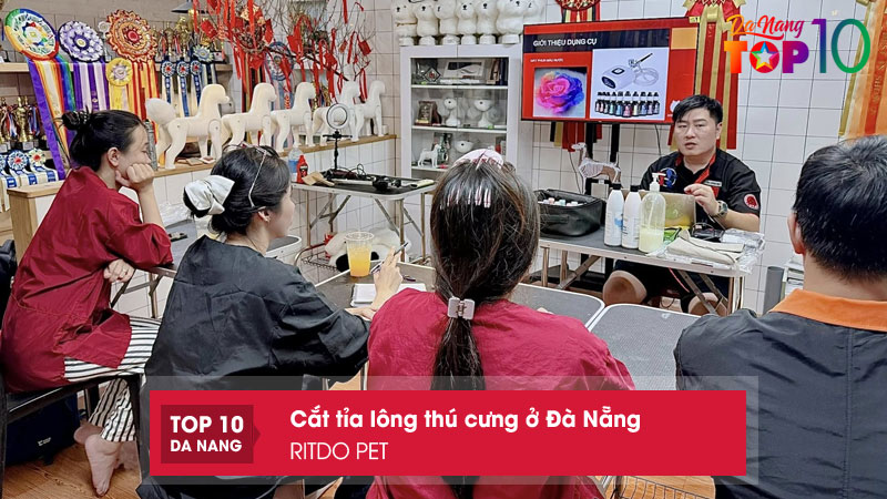 Ritdo-pet-top10danang