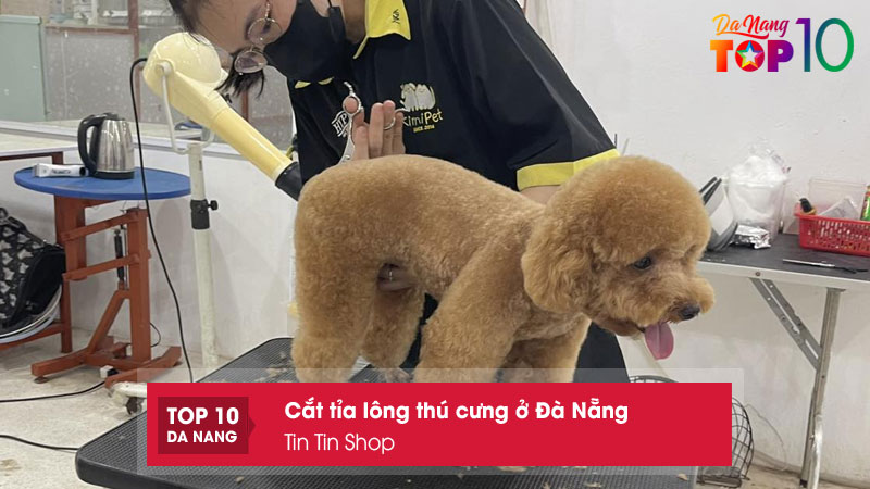 Tin-tin-shop-top10danang