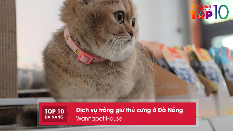 Wannapet-house-top10danang