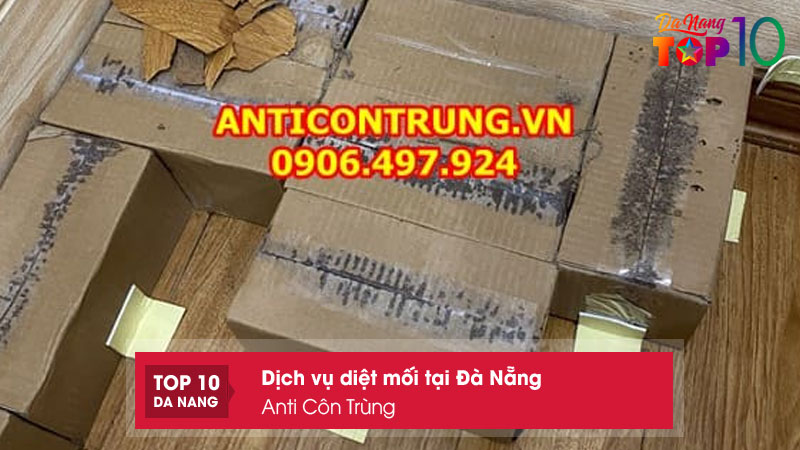 Anti-con-trung-top10danang