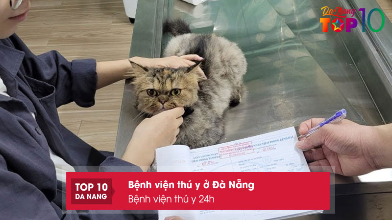 Benh-vien-thu-y-24h-top10danang