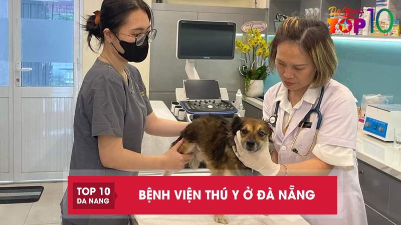 Bo-tui-ngay-18-benh-vien-thu-y-o-da-nang-uy-tin-cho-thu-cung-top10danang