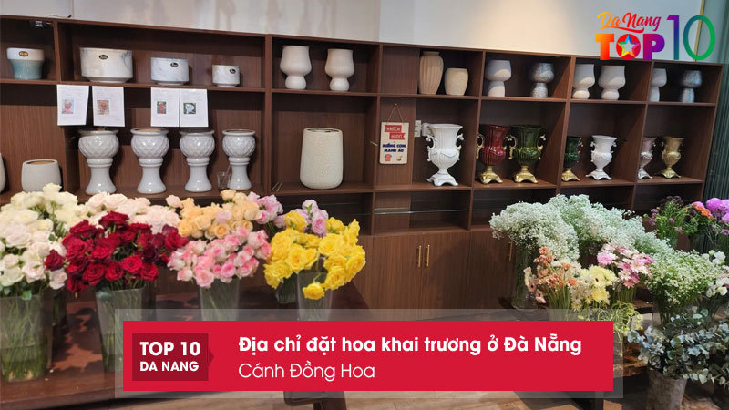 Canh-dong-hoa-top10danang