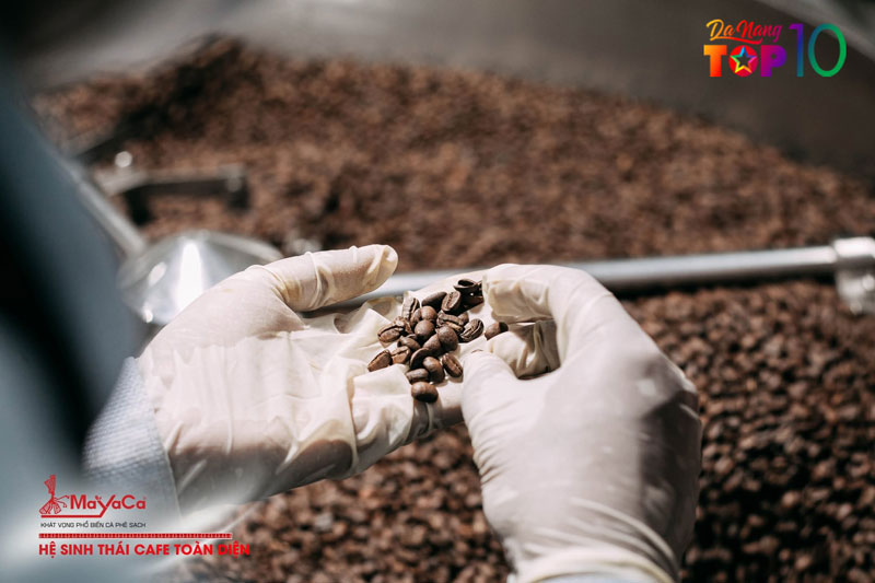 Mayaca-coffee-roastery-mang-den-he-sinh-thai-ca-phe-toan-dien1-top10danang