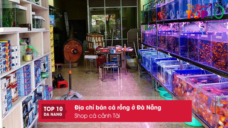 Shop-ca-canh-tai-top10danang