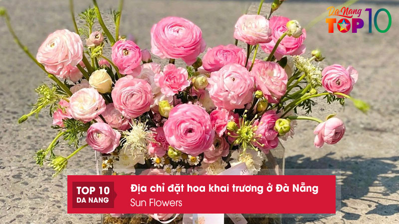 Sun-flowers-top10danang