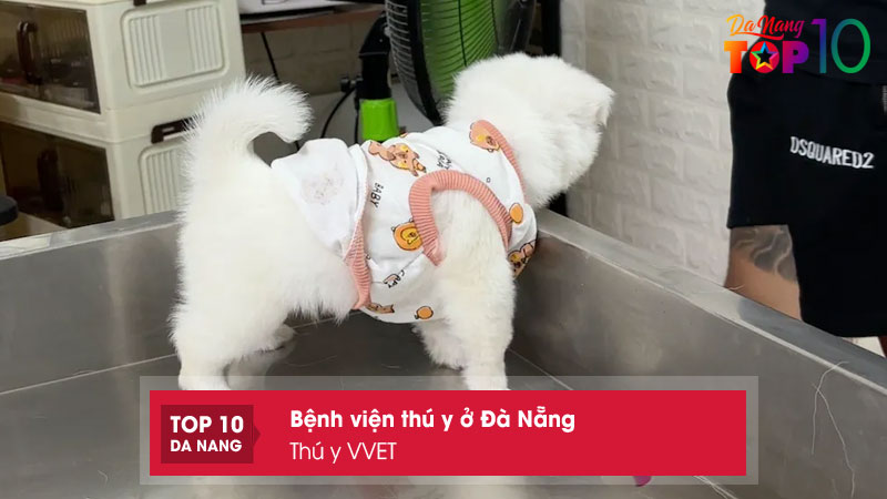 Thu-y-vvet-top10danang