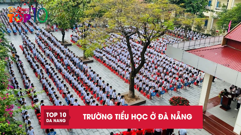 Truong-tieu-hoc-o-da-nang-top10danang