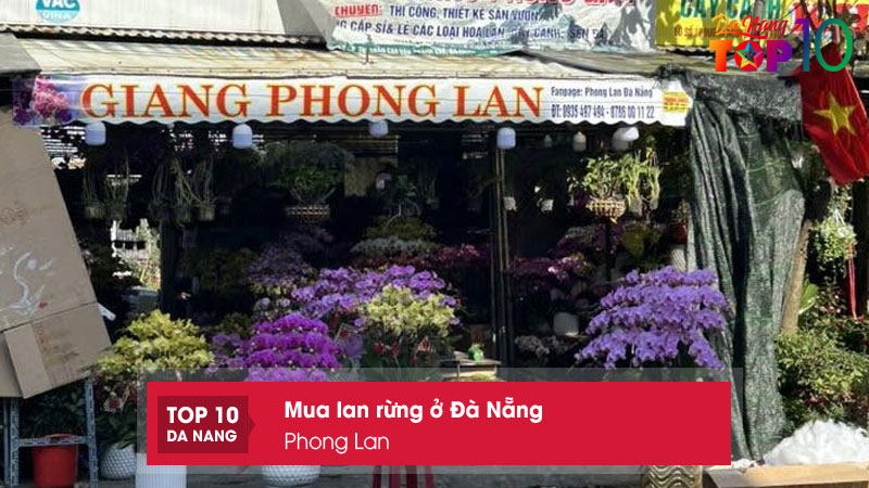 Phong-lan-top10danang
