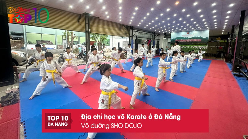 Vo-duong-sho-dojo-top10danang