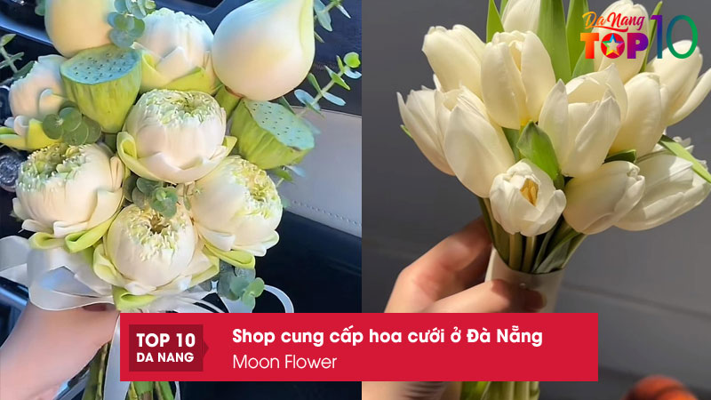 Moon-flower-top10danang